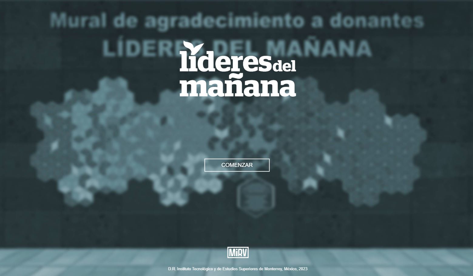 Stewardship Program - Líderes del Mañana