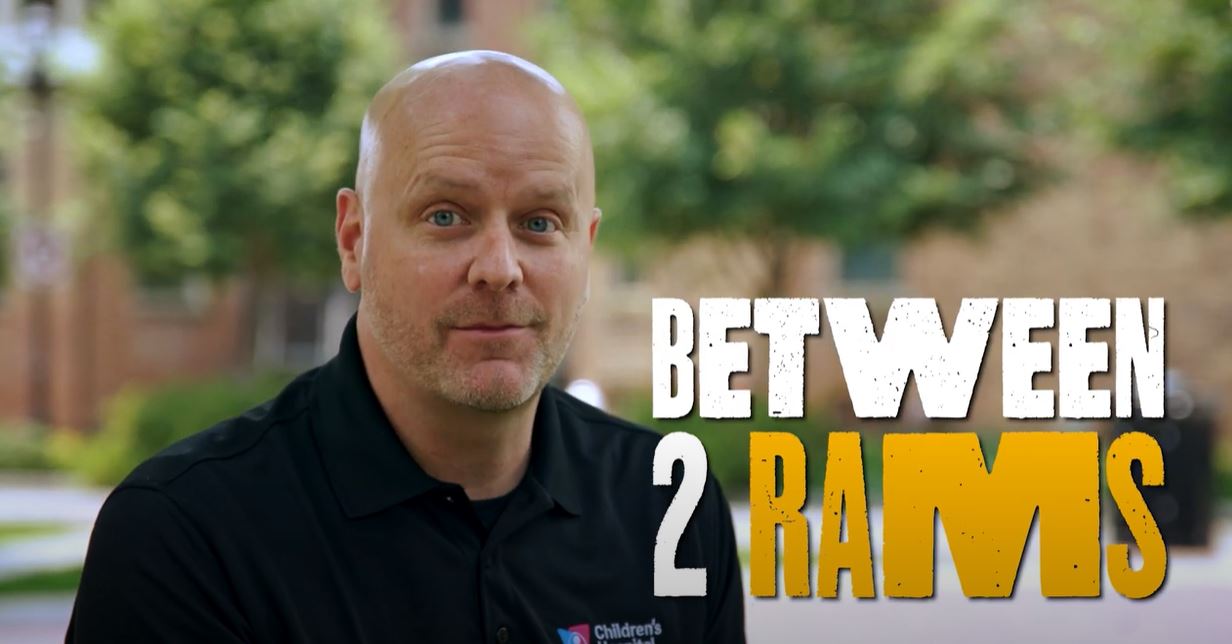 Between Two Rams: Battering Down Silos, Growing Employee Engagement