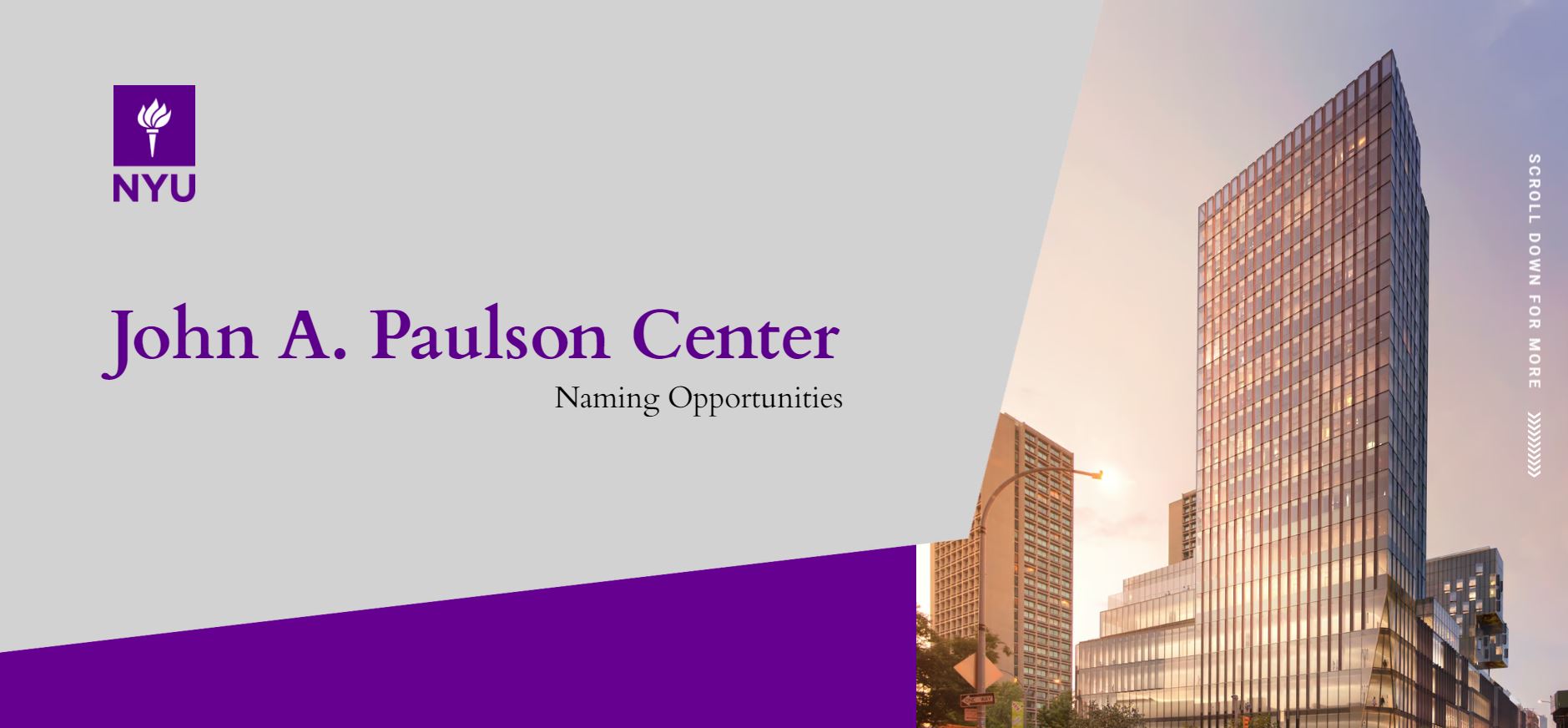 	From Massive to Manageable: A Microsite's Role in NYU's Success