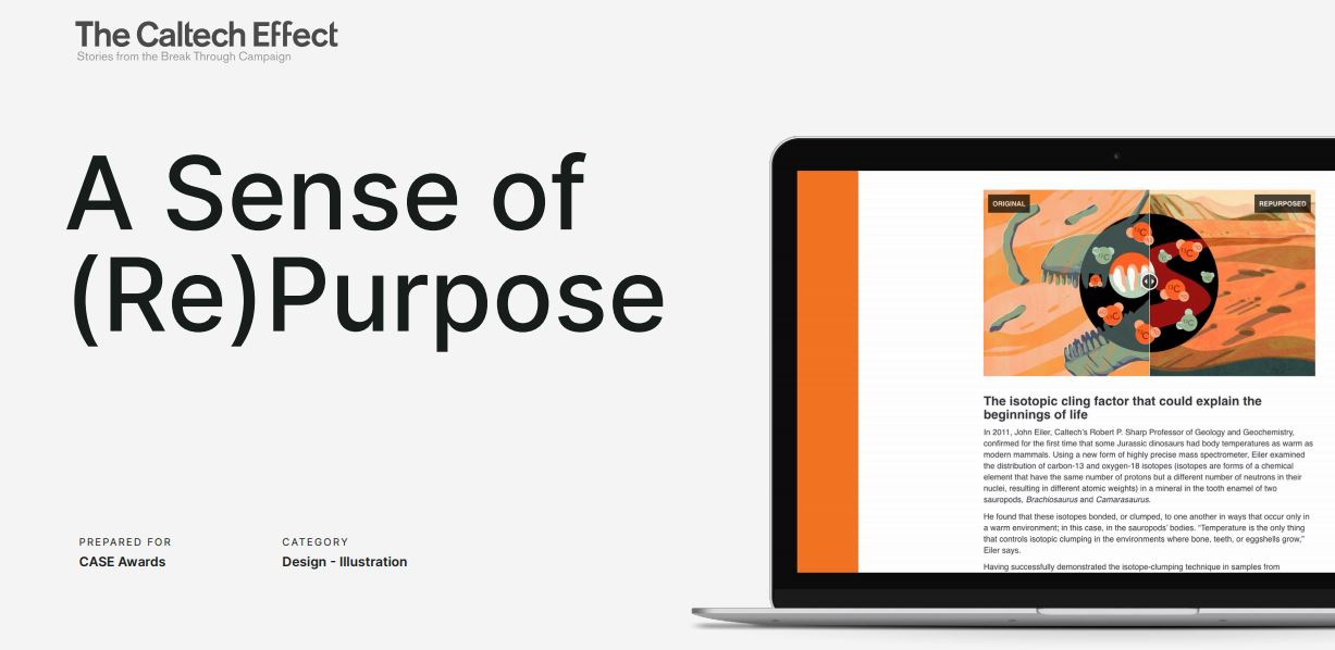 A Sense of Purpose