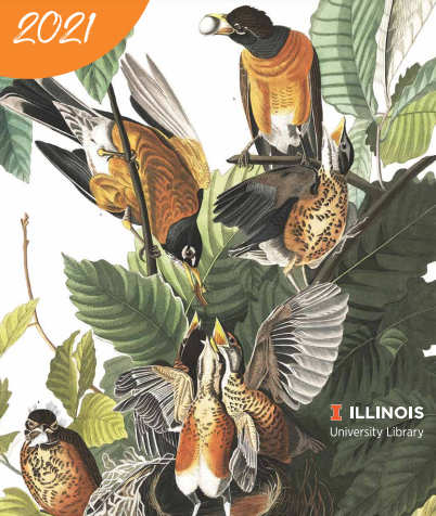 Showcasing Audubon's Birds of America