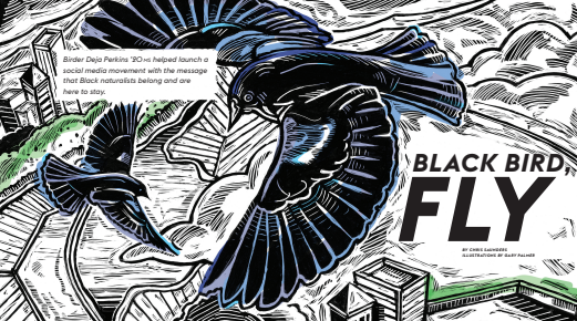 "Black Bird, Fly"