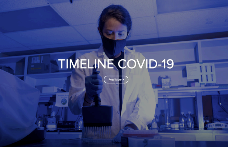 A year of working through the pandemic at CSU