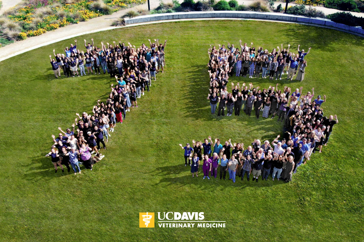 A bird's-eye view photo shows people standing in the formation of a "7" and a "5." They all look up and wave at the camera in the sky.
