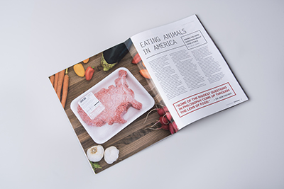 Texas State University - "Eating Animals in America," Hillview Magazine