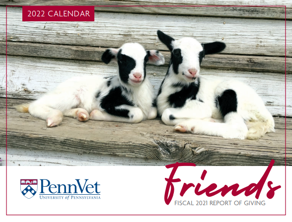 Penn Vet Loves Your Animal Photo Contest for Annual Calendar