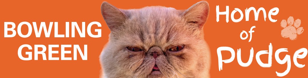 Home Pudge Banner featuring a cat