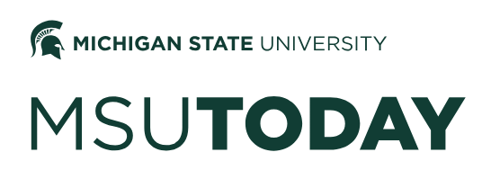 MSU Voter Turnout