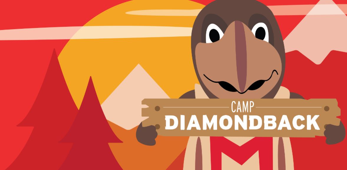 Camp Diamondback: Virtual Summer Camp
