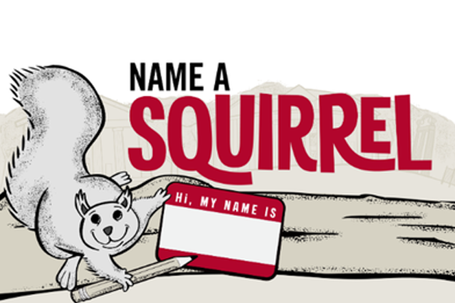 An illustration for UGA's Name a Squirrel campaign. It shows a squirrel holding a pencil and a blank "hi, my name is" name tag.