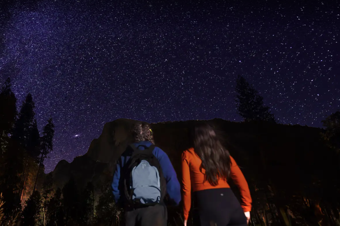 Two people hike uphill in the forest towards a starry sky.