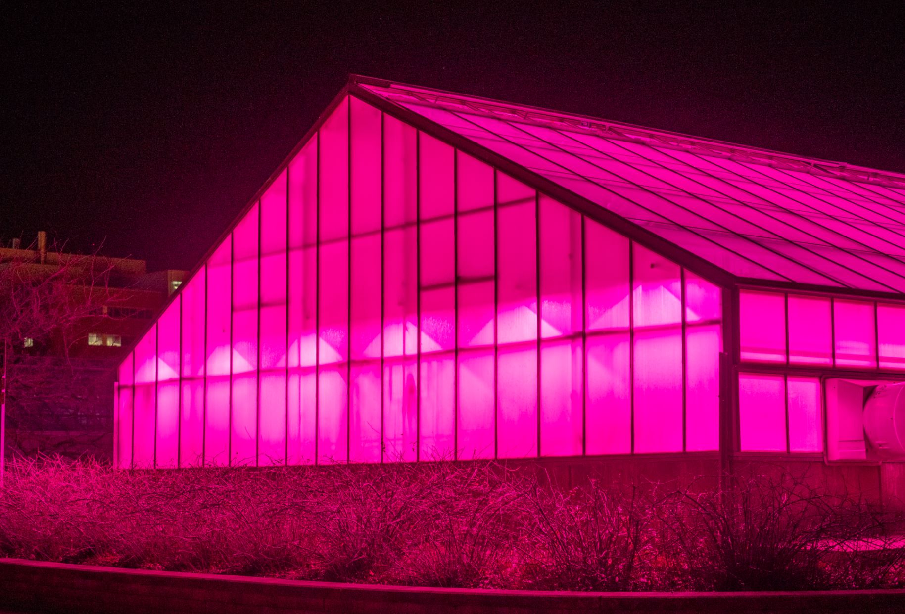 “Plant Science in a New Light”