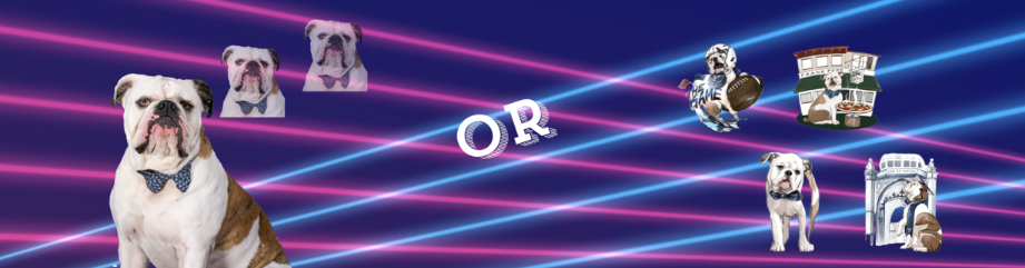 This or That Header