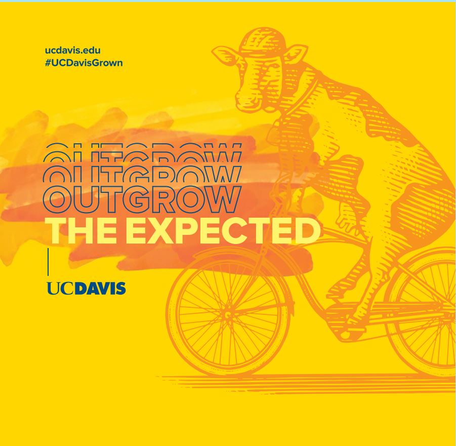 UC Davis Photo