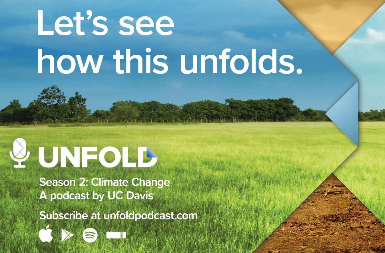 Unfold Airport Ads