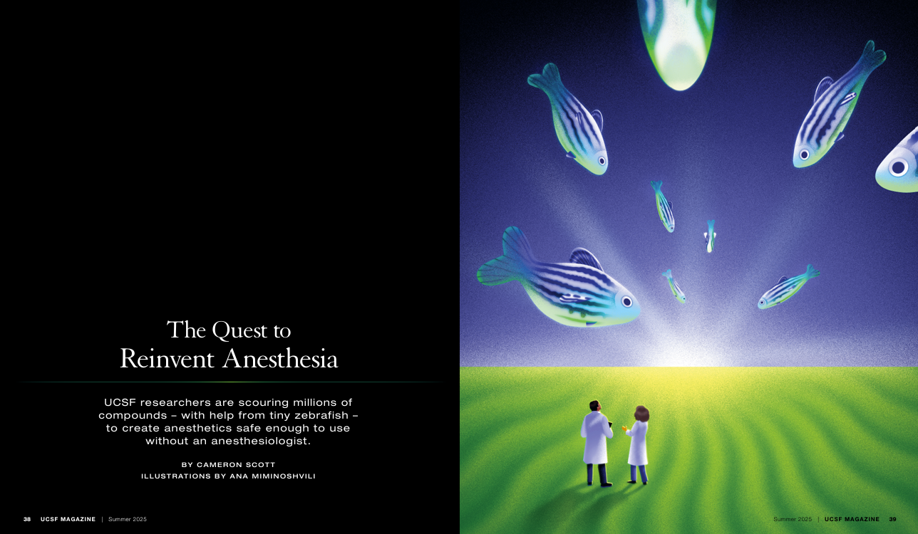 A magazine spread. On the left, a black background and white text that reads "The Quest to Reinvent Anesthesia." On the right, an illustration of two doctors standing in an open field staring at the horizon. In the sky are blue fish that look like they are swimming towards the sun on the horizon line.
