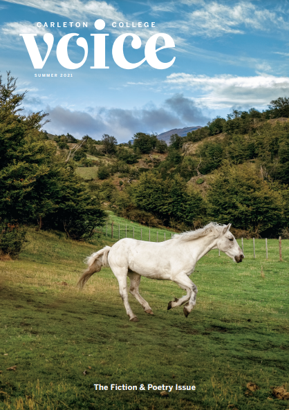 College Voice