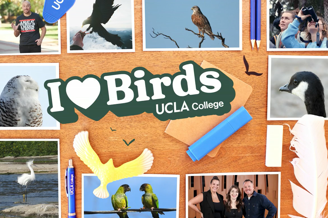 A collage of photos shows birds and members of the UCLA community. The words "I 'heart' Birds UCLA College" are also displayed.