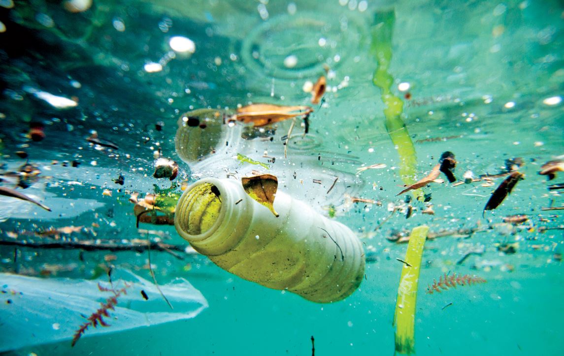 Plastic, Plastic Everywhere