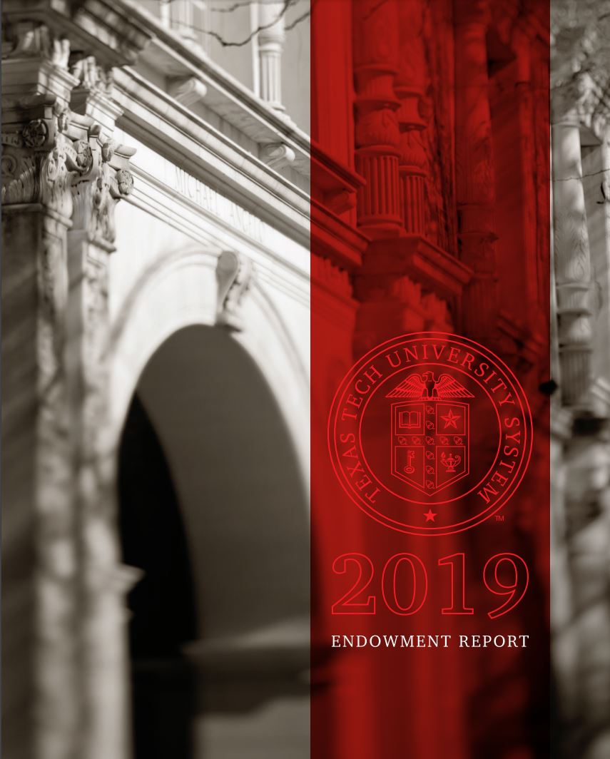 2019 Endowment Report