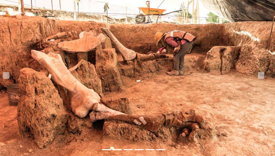 “The Paleontological Find of the Century”