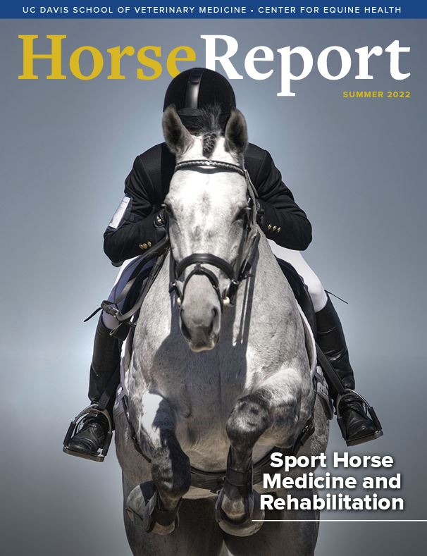 The Horse Report