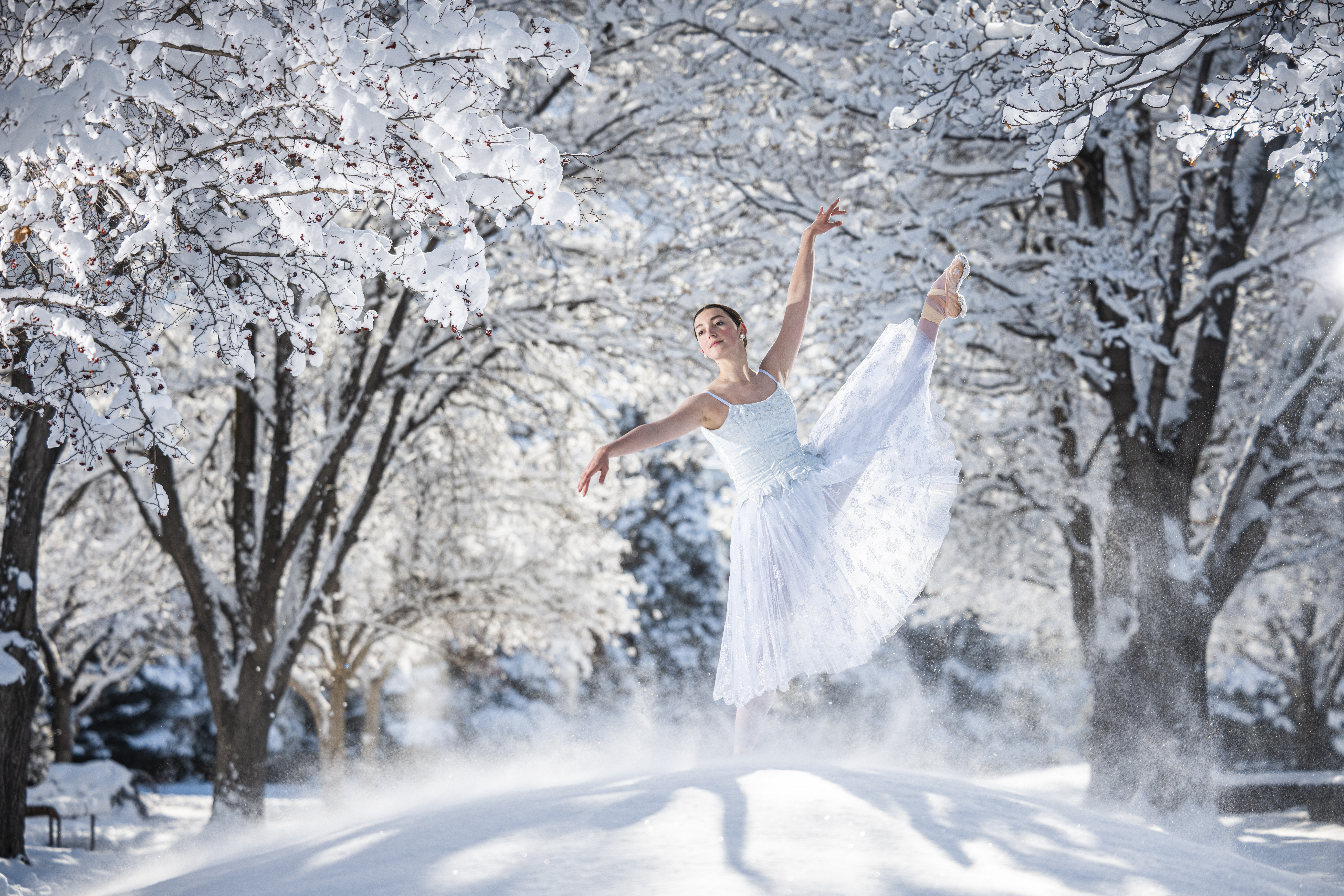 Winter Ballet