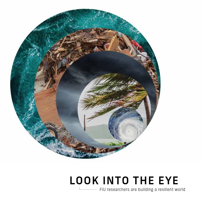 Look into the Eye