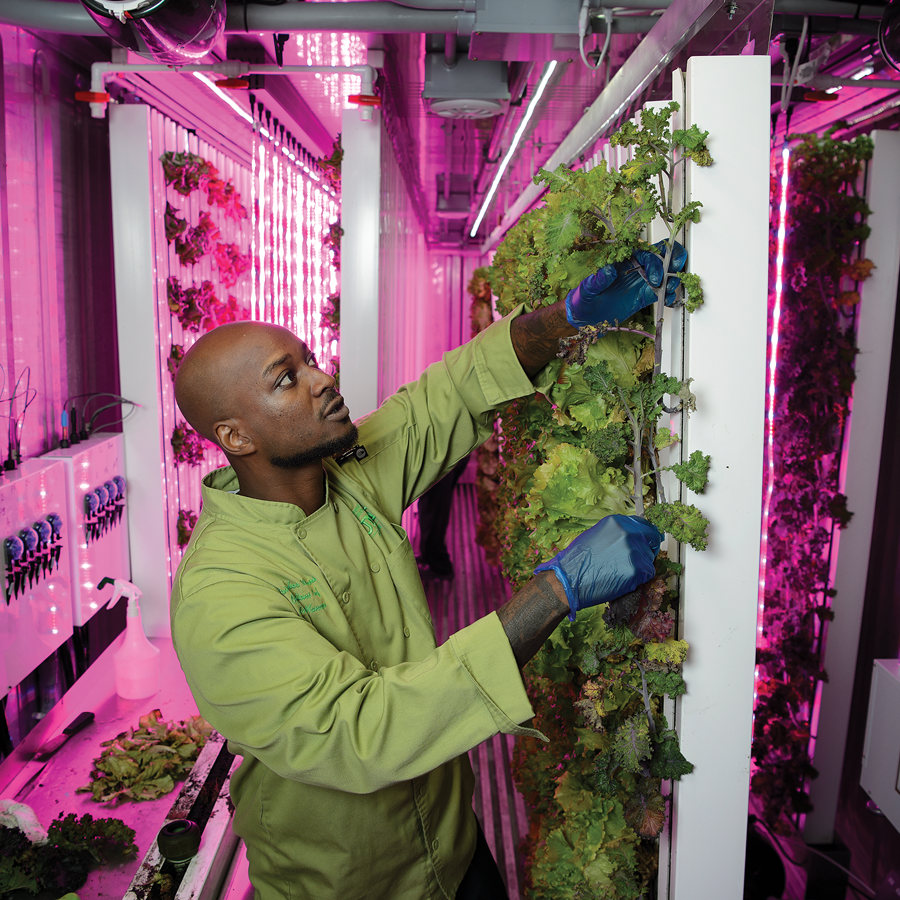 Man growing plants in a lab