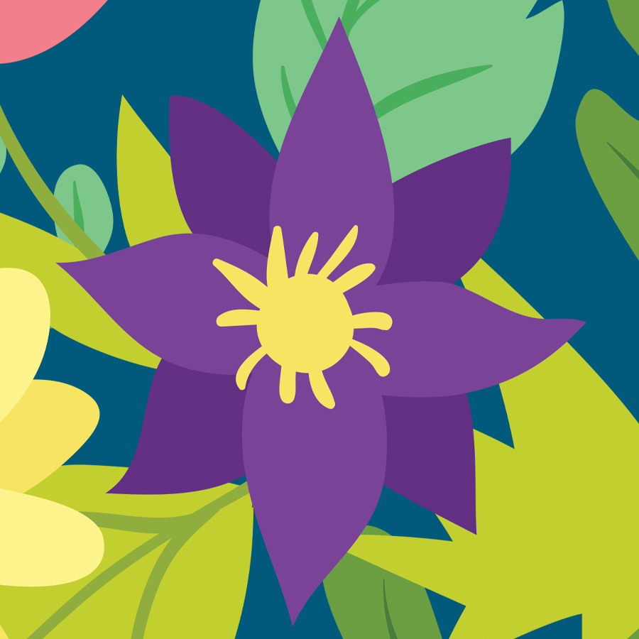 Purple flower
