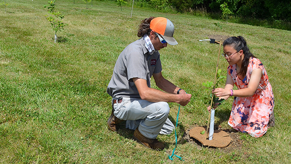 International Students Plant Roots at Elon teaser