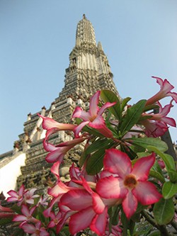 Bangkok view of temple and flowers