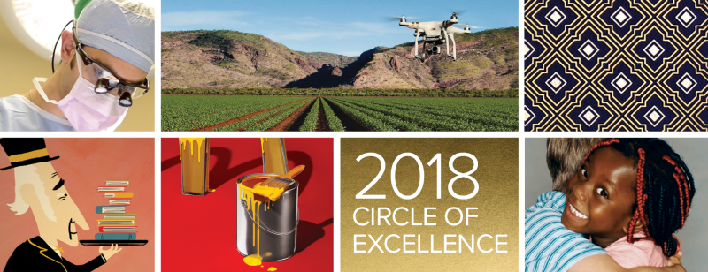 2018 Circle of Excellence Awards Grand Gold-Winning Entries