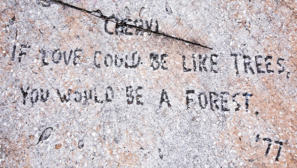 Love note inscribed in concrete to a Cheryl at the University of Florida campus.