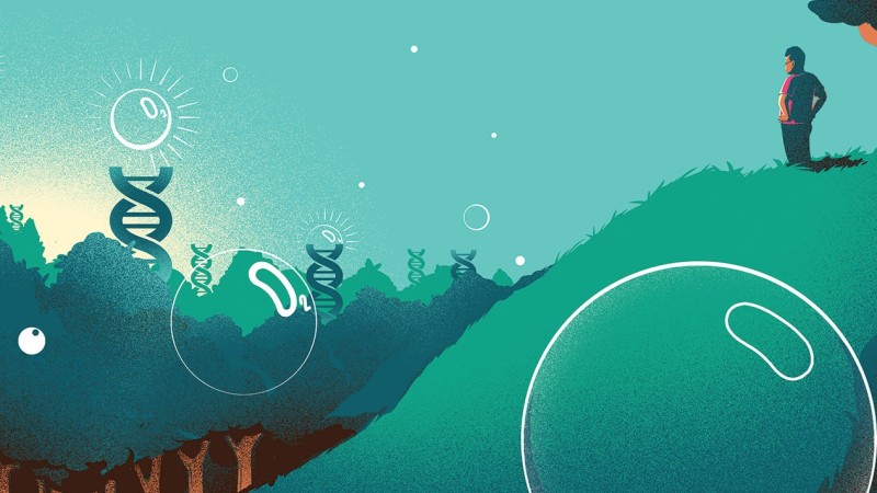 An illustration of a man standing on a grassy hill staring out over a tree canopy. DNA strands float in the air above the trees.
