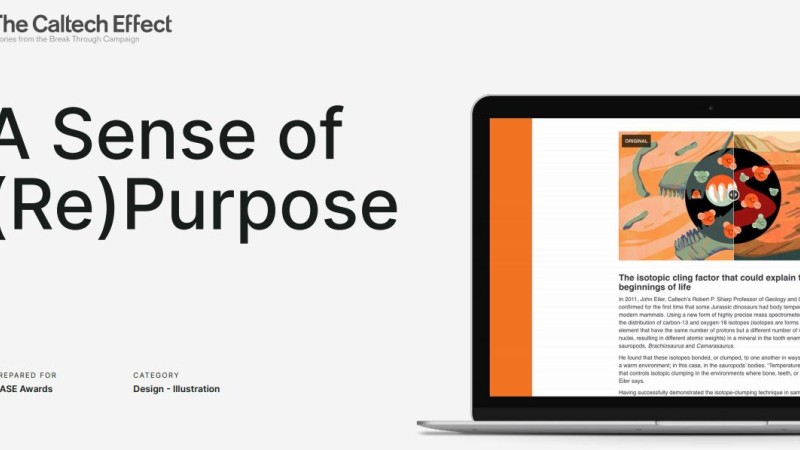 A Sense of Purpose