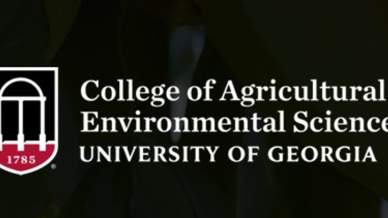 Georgia Ag Impact Report Logo