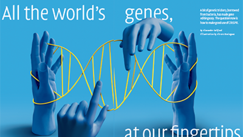 Rockefeller University (New York) - "All the World's Genes at Our Fingertips," Seek Magazine