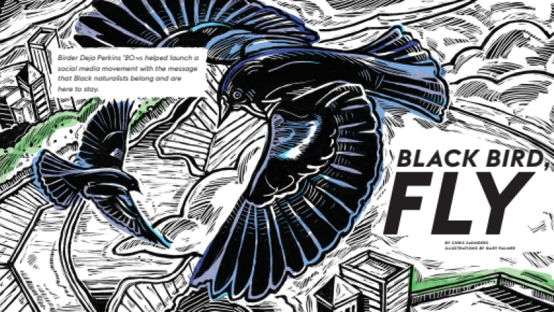 "Black Bird, Fly"