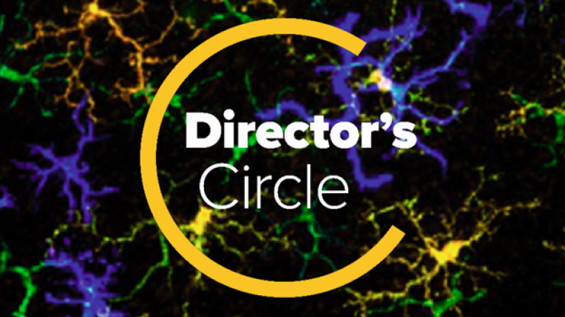 The logo for University of California, Davis's Director's Circle includes a blue, green, orange, and black marbled background and half a yellow circle around white-colored "Director's Circle" text.