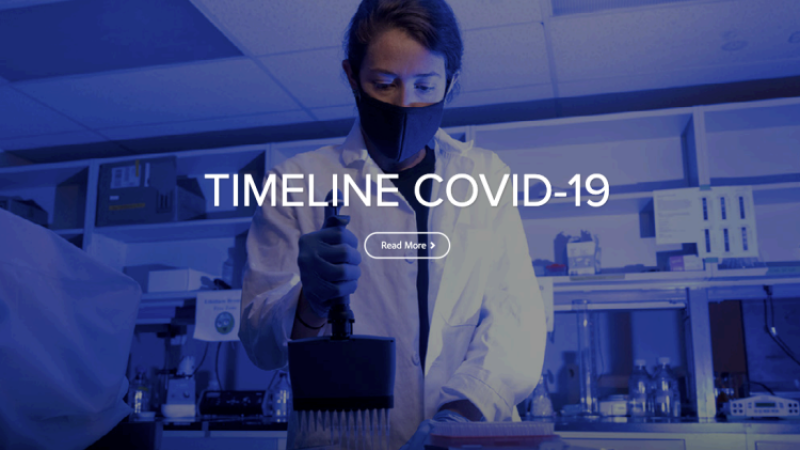 A year of working through the pandemic at CSU