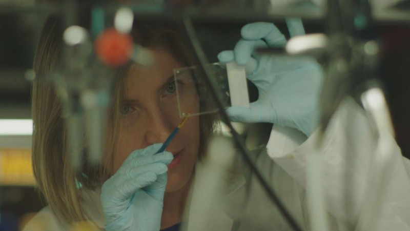 The Caltech Science Exchange