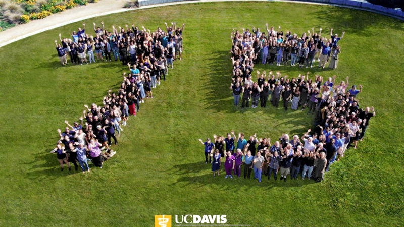 A bird's-eye view photo shows people standing in the formation of a "7" and a "5." They all look up and wave at the camera in the sky.