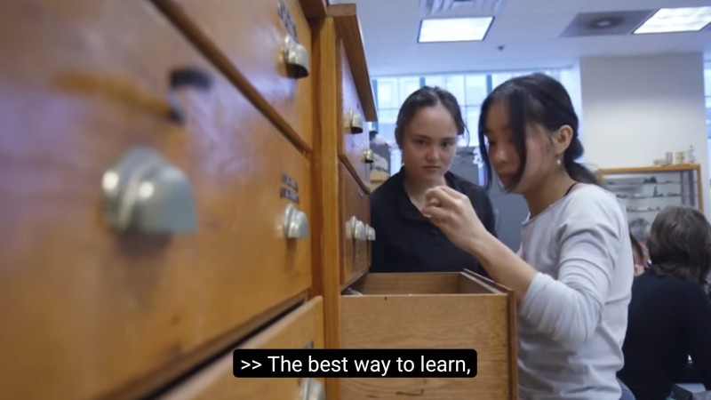 Two students look inside a drawer in a science classroom. One lifts out a rock.