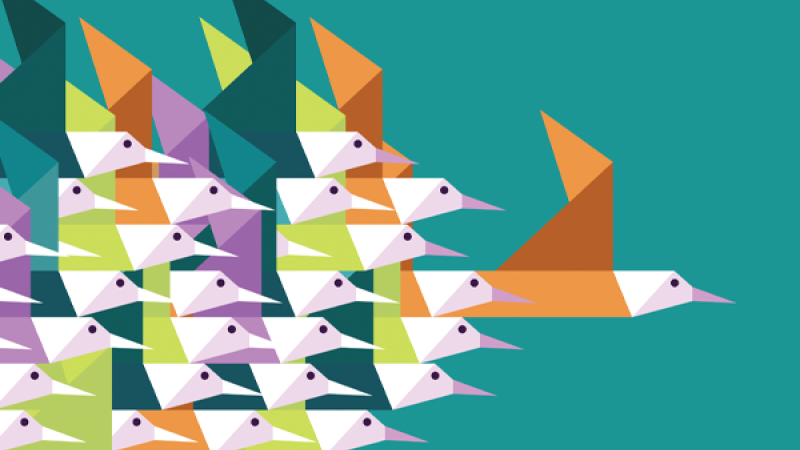 Flock of birds