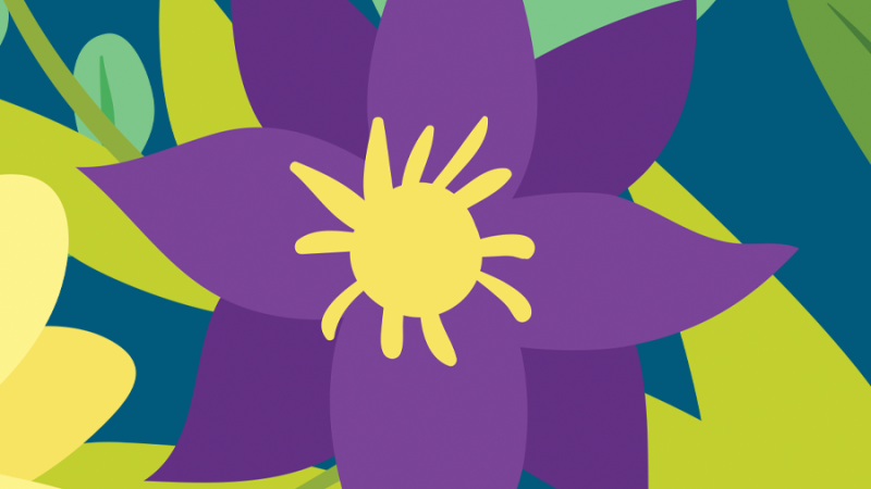 Purple flower