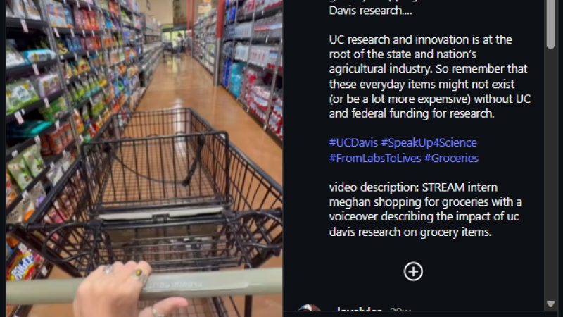 A screenshot from a UC Davis reel shows a point of view shot of the subject pushing a cart through the aisles of a grocery store.