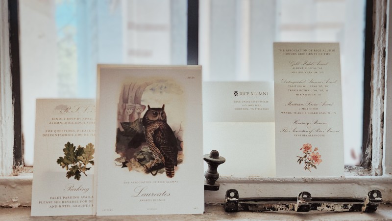 A photo shows an invitation and its various parts propped up against a window pane. The front of the invitation shows an illustration of an owl.