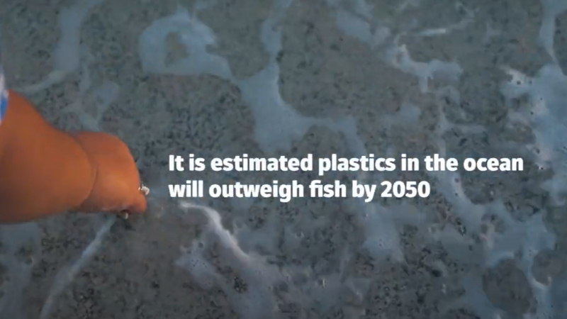The ocean washes up onto the beach. The words, "It is estimated plastics in the ocean will outweigh fish by 2050" are seen on screen.