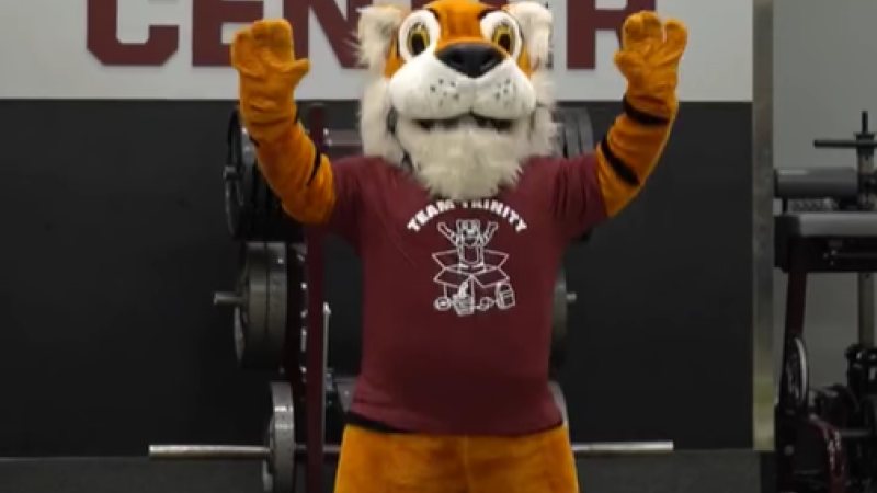 Trinity University's Bengal tiger mascot, LeeRoy, stands in the middle of a gym with both his arms up in a victory pose.